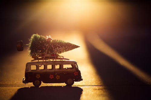 Χριστουγεννιάτικο δέντρο σε φορτηγάκι
